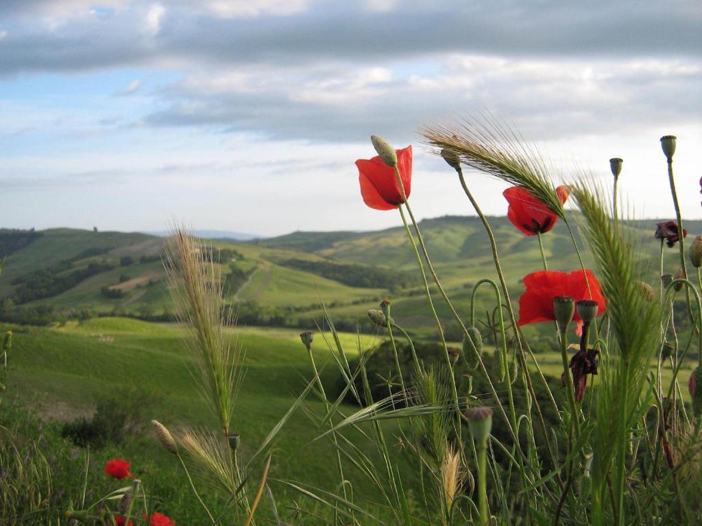 Certine Agriturismo Ашано Екстериор снимка