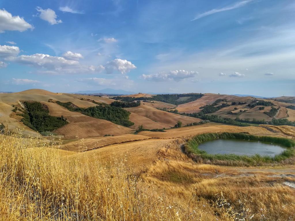 Certine Agriturismo Villa Ашано Екстериор снимка