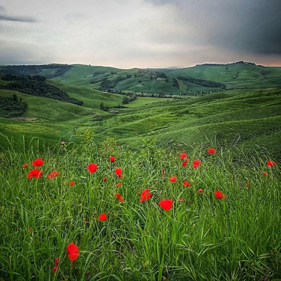 Certine Agriturismo Ашано Екстериор снимка
